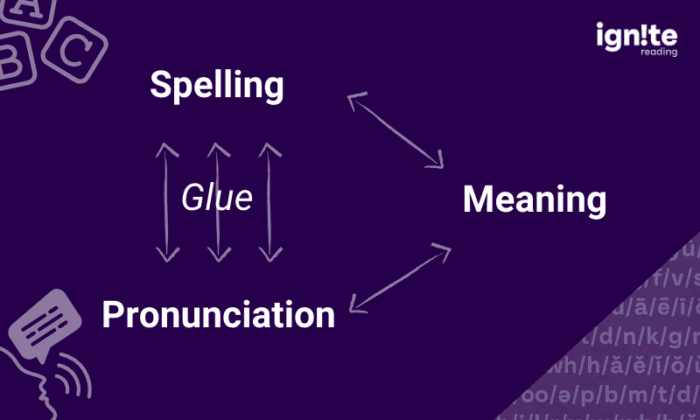 Purple rectangle with graphic that shows the links between spelling, pronunciation and meaning in Linnea Ehri's concept of Orthographic Mapping
