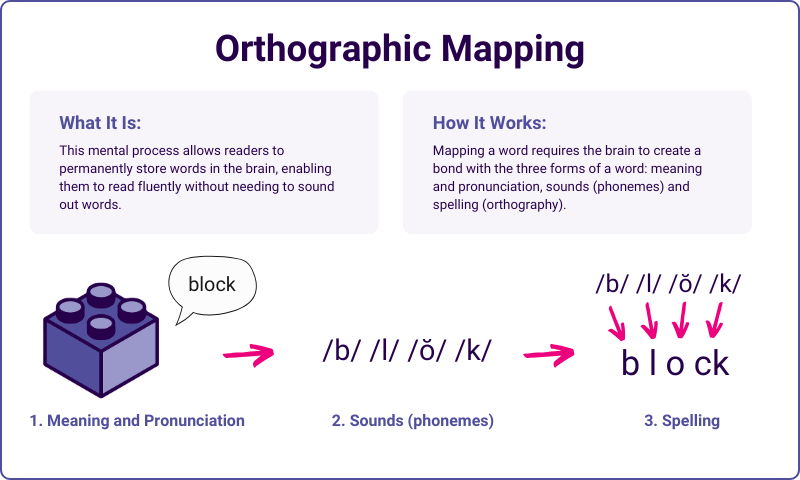 An illustration explaining how orthographic mapping works with an image of a block, the phonemes that make up block and the spelling of the word broken down