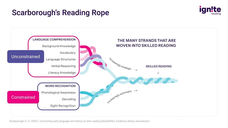 Scarborough's Reading Rope illustration