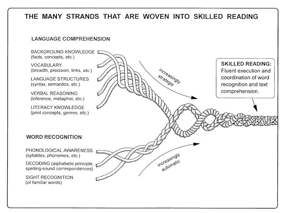 Scarborough's Reading Rope illustration and description